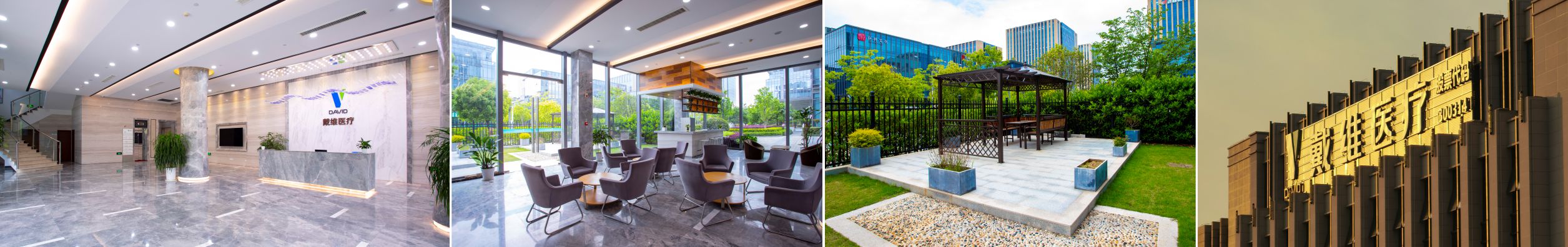 戴維(wei)醫(yī)療_戴維(wei)的(de)髮(fa)展(zhan)